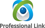 Professional Link Ltd Logo